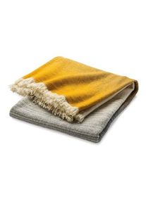 Arpin 1817 virgin wool blanket gradient