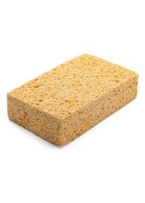 Household sponge cellulose