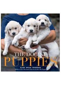Friedman, Elias Weiss The Dogist Puppies (1579657435)