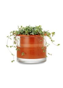 Natte Pot Systemen Planter