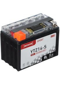 Sport SGD-YTZ14-S Batterie Moto 12V 12Ah 150A Gel lcd 150 x 87 x 110 mm - Accurat