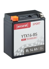 Sport SG-YTX16-BS Batterie Moto/Quad YTX16-BS Gel 14Ah 12V 230 a 150 x 87 x 161 mm - Accurat