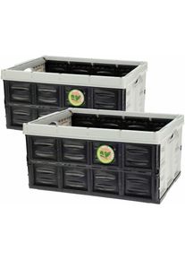 Spetebo - Caisse pliante 2 pièces 45 litres - noir / gris - Caisse pliante