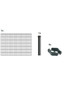 Kraus Einstabmattenzaun »Dino-Trend-Z42« anthrazit in grau, Größe H/L: 140 cm x 2 m