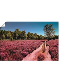 Artland Wandbild »Lüneburger Heide Romantik«, Blumenwiese, (1 St.), als Alubild, Leinwandbild, Wandaufkleber oder Poster in versch. Größen, Bilder,...