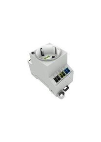 WAGO Schakelkast-uitgang DE Type F (CEE 7/4) Plug - 709-581