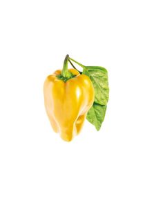 Click and Grow - Smart Garden Refill 3-pack - Yellow Sweet Peppers (SGR53X3)