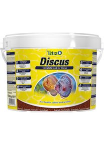 Tetra - Discus 10L