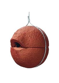 Winterkoninkje Nestbal
