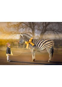 papermoon Fototapete »Mädchen mit Zebra«