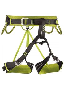 C.A.M.P. Alpine Flash Klättersele Storlek S Färg färgglad