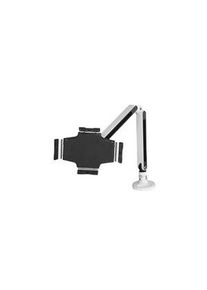 StarTech.com Adjustable Desk Mount Stand for Tablets up to 11", 1kg - ARMTBLTIW
