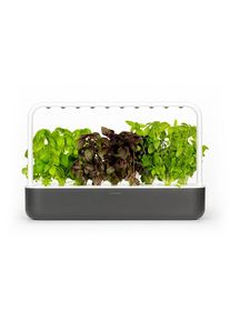 Click and Grow - Smart Garden 9 Starter kit (Color: Dark Gray) (SG9S8UNI)