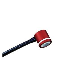 Signal-Construct Tischleuchte, 230 VAC , Euro Type C (CEE 7/16) Plug, 550 mm - QLLR111SSR5