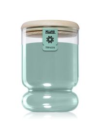 We Love Candles Thalia Spruce Forest geurkaars 380 gr