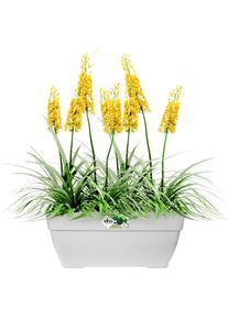 Elho Vaso da fiori bianco 80x33x35cm 63L