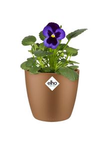 Elho Vaso da fiori Bruxelles Velluto Oro 11x10cm 0,8L