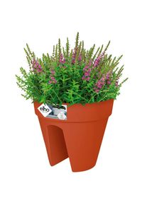 Elho Vaso da fiori in terracotta 28,5x25,5 cm