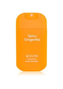 HAAN Hand Care GingerAle handreinigingsspray met Aloe en Gember Extract 30 ml