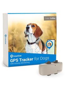 Tractive GPS DOG 4 - GPS Tracker für Hunde mit Aktivitätstracking | EXKL. ABO | TRNJA4 | braun