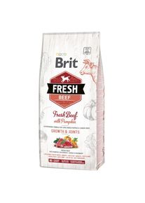12kg Puppy Large manzo con zucca Brit Fresh crocchette secche per cani