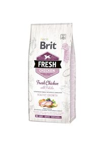 12kg Brit Fresh Puppy Pollo con Patate crocchette per cani