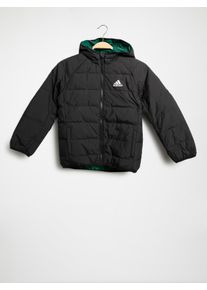 Adidas Daunenjacke in schwarz für Jungen, Größe: 116. H45034 YK Froosy JKT