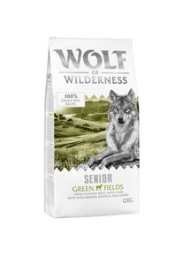 Wolf of Wilderness Senior "Green Fields" - Agnello.- 12 kg