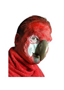 Masque de perroquet en latex à coller