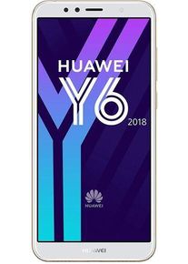 Huawei Y6 (2018) | 16 GB | Dual-SIM | goud