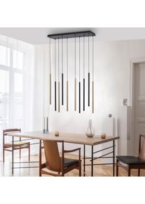 Paul Neuhaus FLUTE Lámpara Colgante LED Negro, 10 luces