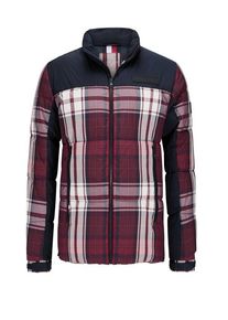 plussize: Nadměrná velikost: Tommy Hilfiger, Watowana kurtka pikowana w kratę Czerwony