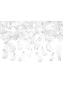 partydeco Piume decorative bianche 3g