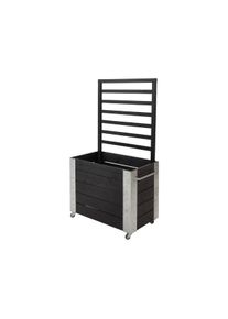 Plus Cubic rollender Raumteiler Rankkasten 87 x 50 x 155 cm schwarz K2025