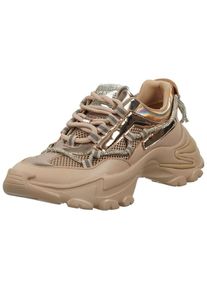 Steve Madden Dames Sneakers laag donkerbeige / goud 36
