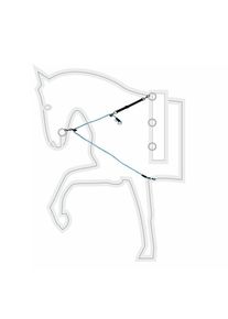 B&uuml;hl-Z&uuml;gel B&uuml;hl-Z&uuml;gel lunging rein