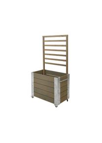 Plus Cubic rollender Raumteiler Rankkasten 87 x 50 x 155 cm graubraun K2025