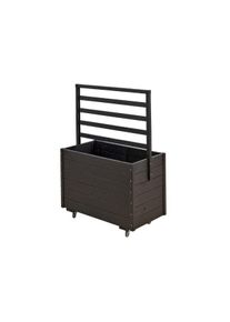 Plus rollbarer Pflanzkasten mit Spalier Fichte-Kiefer schwarz 88 x 48 x 124 cm K2025