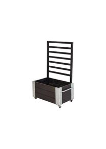 Plus Cubic rollender Raumteiler Rankkasten 87 x 50 x 130 cm schwarz K2025