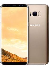 Samsung Galaxy S8+ | 64 GB | Single-SIM | gold