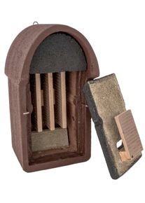 Grotte pour chauve-souris Vivara