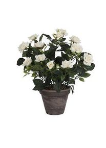 Mica Decorations - Rosal Color Blanco Pvc Con Maceta Gris