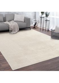 Tapis, Tapis à Poils Ras Doux Pour Salon, Doux, Lavable, Beige 120x170 cm - Paco Home