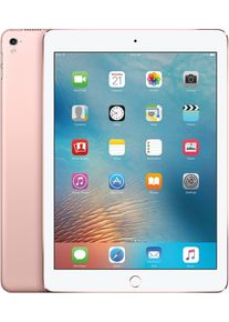 Apple Exzellent: iPad mini 5 (2019) | 7.9" | 64 GB | rosegold