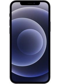 Apple iPhone 12 | 256 GB | zwart