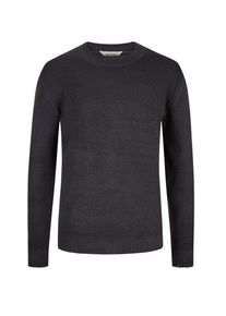 Plus size : Gran Sasso, Turtleneck sweater in a Brown