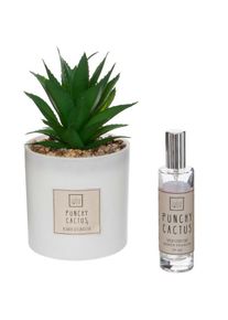 Coffret Senteur Cactus Plante décorative et son spray de parfum Atmosphera Beige