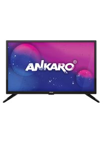 Ankaro CL 2402- LED-TV 24"(60cm), Triple-Tuner, Easyfind