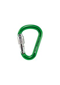 Salewa HMS SCREW G2 Karabiner, small, grün