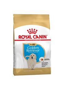 3kg Golden Retriever Puppy/Chiot Royal Canin - Croquettes pour Chiot